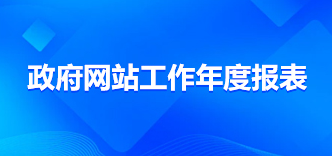 政府网站工作报告